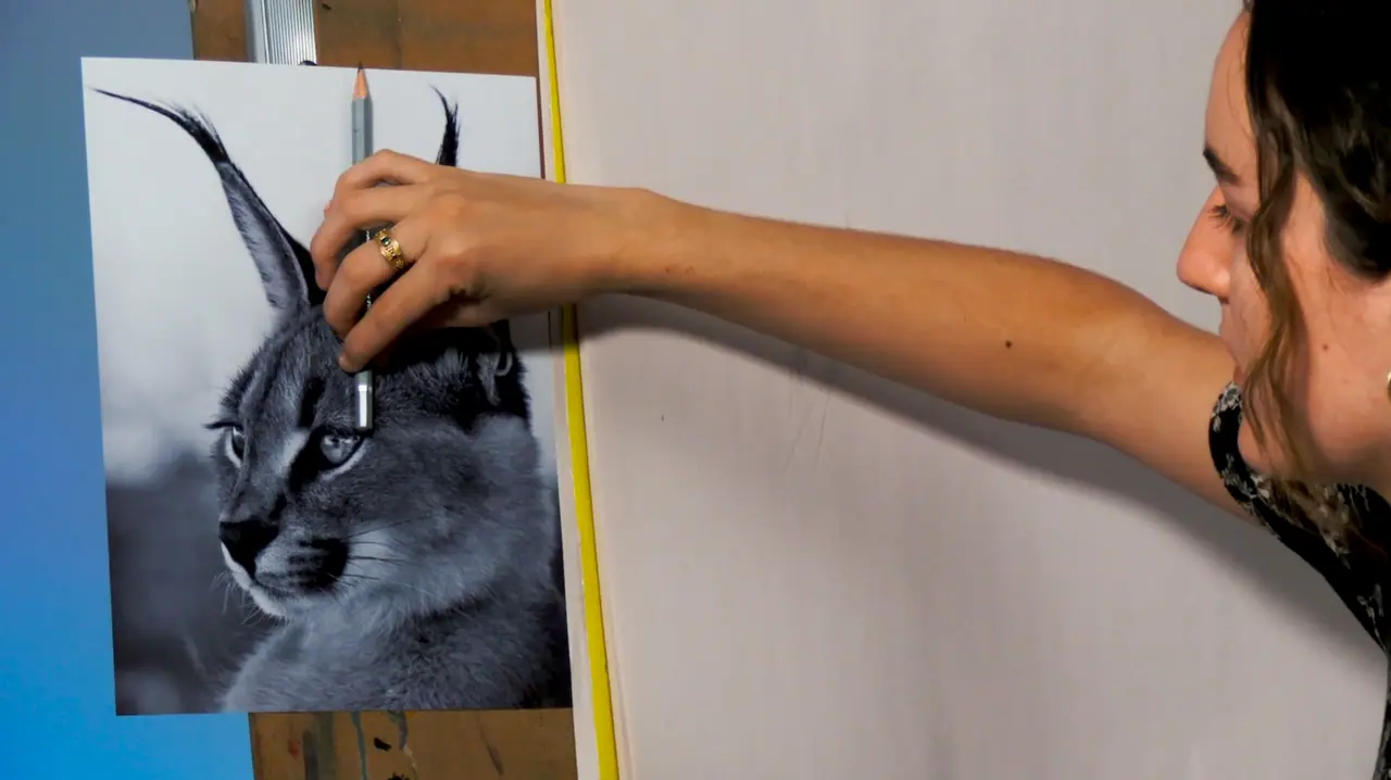 Beginner measuring a reference photo of a cat to keep pencil drawing proportions accurate