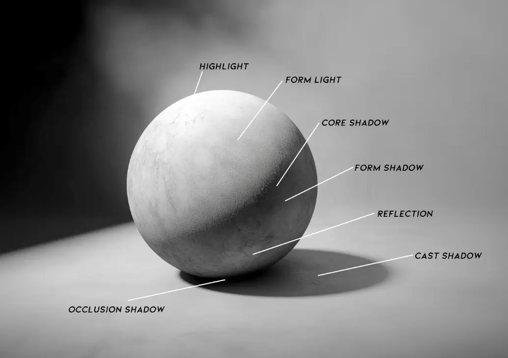 An art vocabulary chart illustrating light direction, form, highlight, and shadow on a simple object